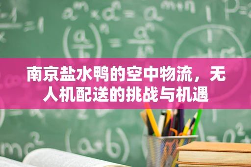 南京盐水鸭的空中物流，无人机配送的挑战与机遇