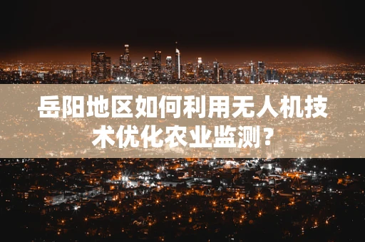 岳阳地区如何利用无人机技术优化农业监测？