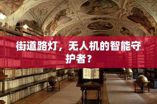 街道路灯，无人机的智能守护者？