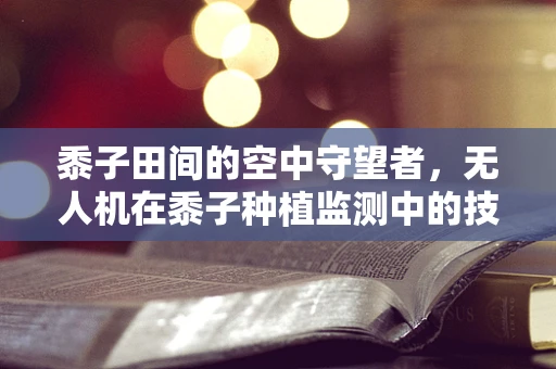黍子田间的空中守望者，无人机在黍子种植监测中的技术挑战
