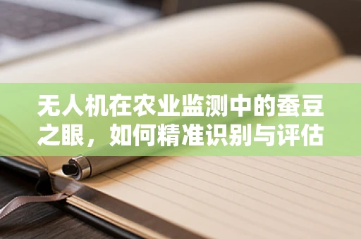 无人机在农业监测中的蚕豆之眼，如何精准识别与评估作物健康？