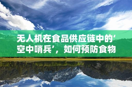 无人机在食品供应链中的‘空中哨兵’，如何预防食物中毒？