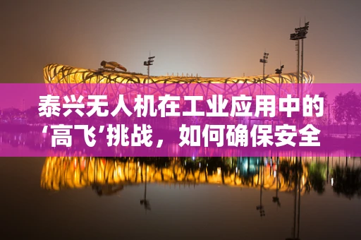 泰兴无人机在工业应用中的‘高飞’挑战，如何确保安全高效地穿越复杂环境？