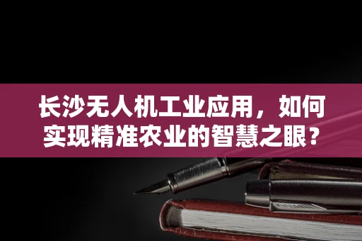 长沙无人机工业应用，如何实现精准农业的智慧之眼？