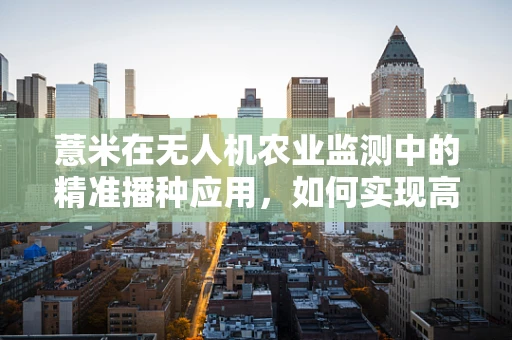 薏米在无人机农业监测中的精准播种应用，如何实现高效种植？