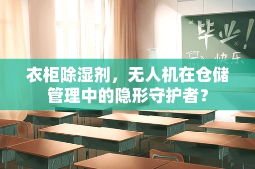 衣柜除湿剂，无人机在仓储管理中的隐形守护者？