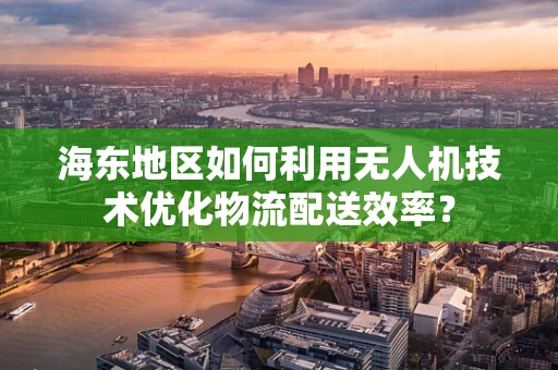 海东地区如何利用无人机技术优化物流配送效率？