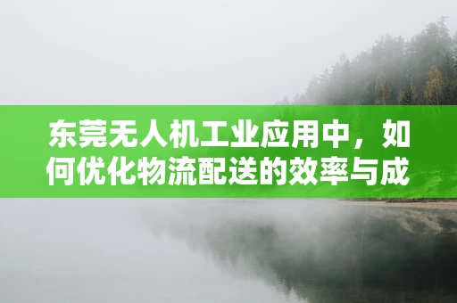 东莞无人机工业应用中，如何优化物流配送的效率与成本？