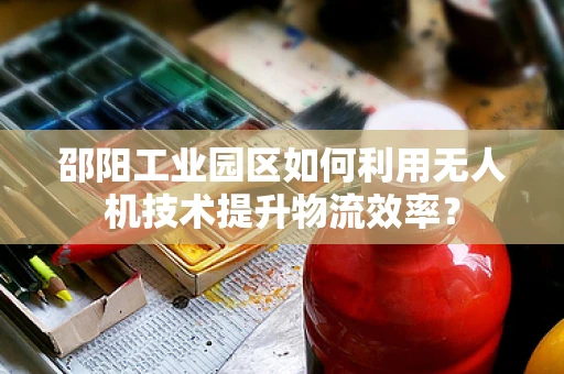 邵阳工业园区如何利用无人机技术提升物流效率？