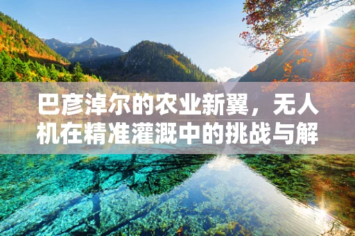 巴彦淖尔的农业新翼，无人机在精准灌溉中的挑战与解决方案