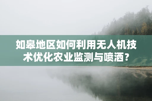 如皋地区如何利用无人机技术优化农业监测与喷洒？