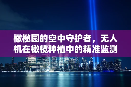 橄榄园的空中守护者，无人机在橄榄种植中的精准监测挑战
