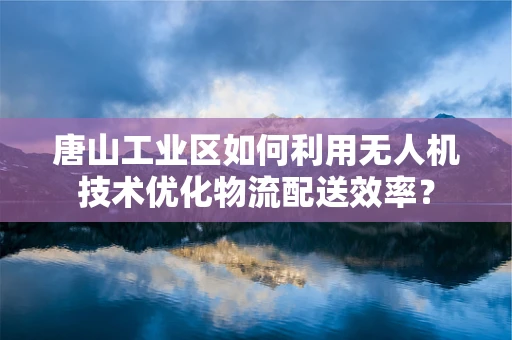 唐山工业区如何利用无人机技术优化物流配送效率？