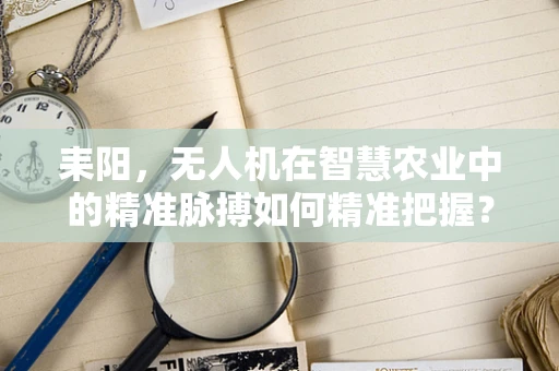 耒阳，无人机在智慧农业中的精准脉搏如何精准把握？