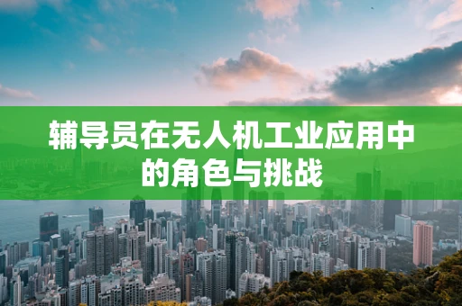 辅导员在无人机工业应用中的角色与挑战