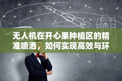 无人机在开心果种植区的精准喷洒，如何实现高效与环保的平衡？