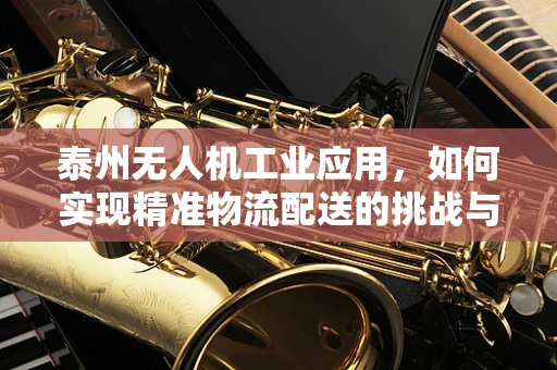 泰州无人机工业应用，如何实现精准物流配送的挑战与对策？