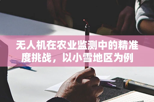 无人机在农业监测中的精准度挑战，以小雪地区为例