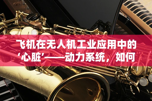 飞机在无人机工业应用中的‘心脏’——动力系统，如何高效且安全地运行？