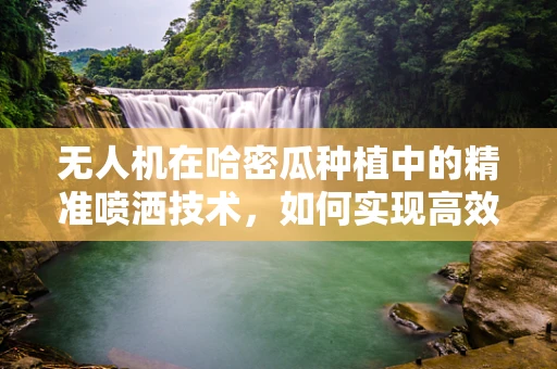 无人机在哈密瓜种植中的精准喷洒技术，如何实现高效与环保的平衡？