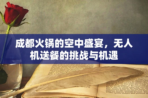 成都火锅的空中盛宴，无人机送餐的挑战与机遇