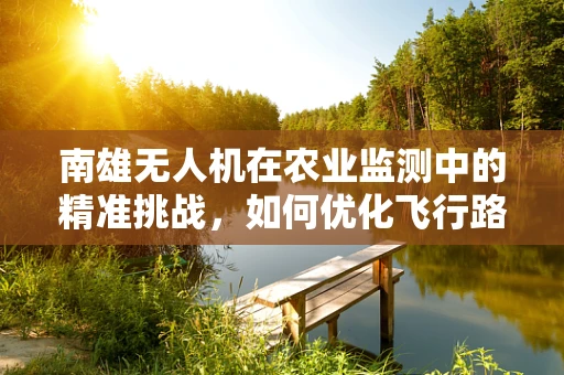 南雄无人机在农业监测中的精准挑战，如何优化飞行路径以提高数据采集效率？