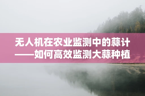 无人机在农业监测中的蒜计——如何高效监测大蒜种植区的病虫害？