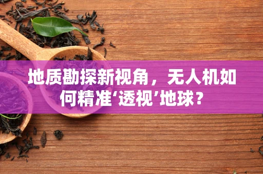 地质勘探新视角，无人机如何精准‘透视’地球？