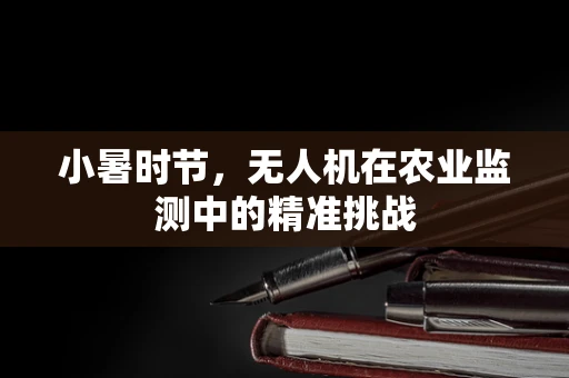 小暑时节，无人机在农业监测中的精准挑战