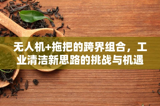 无人机+拖把的跨界组合，工业清洁新思路的挑战与机遇？