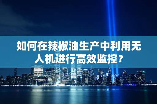 如何在辣椒油生产中利用无人机进行高效监控？