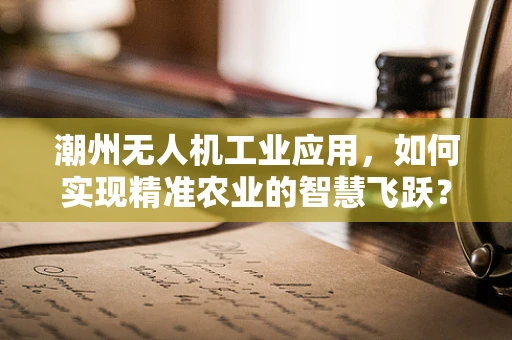 潮州无人机工业应用，如何实现精准农业的智慧飞跃？