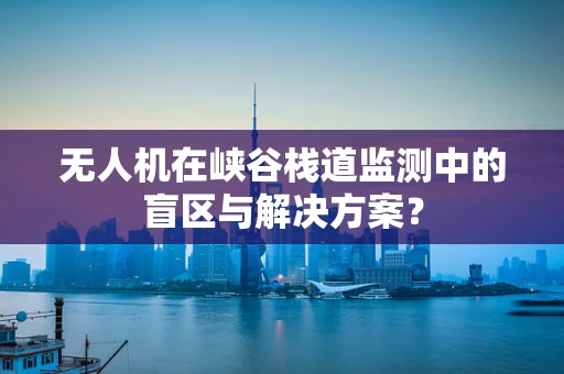 无人机在峡谷栈道监测中的盲区与解决方案？