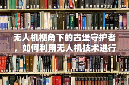 无人机视角下的古堡守护者，如何利用无人机技术进行城堡遗址监测？