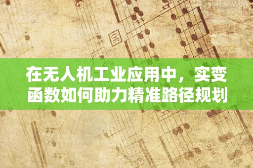 在无人机工业应用中，实变函数如何助力精准路径规划？