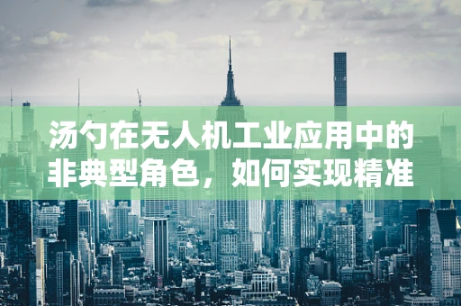 汤勺在无人机工业应用中的非典型角色，如何实现精准投送？