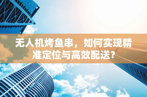 无人机烤鱼串，如何实现精准定位与高效配送？