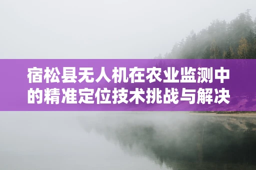 宿松县无人机在农业监测中的精准定位技术挑战与解决方案