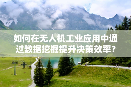 如何在无人机工业应用中通过数据挖掘提升决策效率？