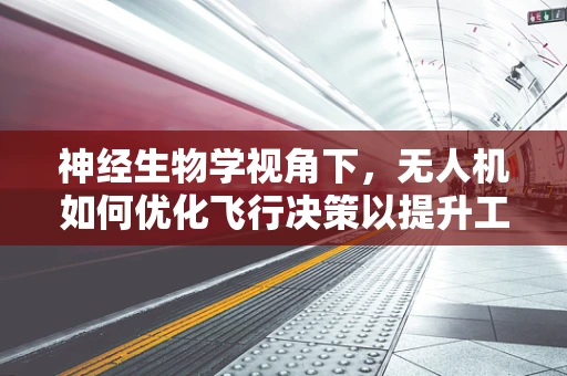 神经生物学视角下，无人机如何优化飞行决策以提升工业应用效率？