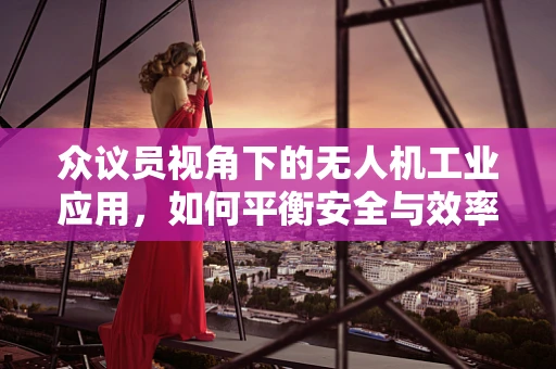 众议员视角下的无人机工业应用，如何平衡安全与效率？