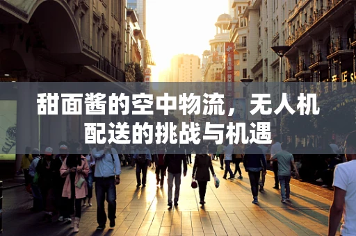 甜面酱的空中物流，无人机配送的挑战与机遇