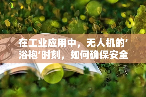 在工业应用中，无人机的‘浴袍’时刻，如何确保安全与效率的平衡？