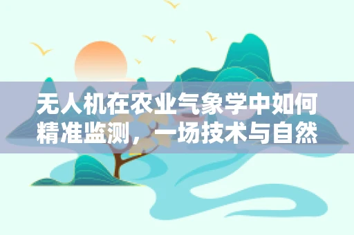 无人机在农业气象学中如何精准监测，一场技术与自然的对话？