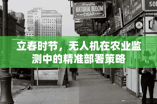 立春时节，无人机在农业监测中的精准部署策略