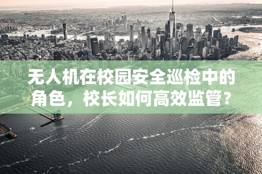 无人机在校园安全巡检中的角色，校长如何高效监管？