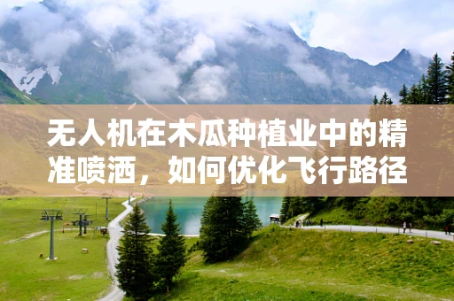 无人机在木瓜种植业中的精准喷洒，如何优化飞行路径以提升效率？