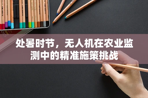 处暑时节，无人机在农业监测中的精准施策挑战