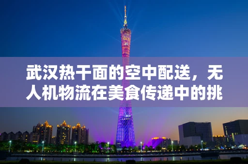武汉热干面的空中配送，无人机物流在美食传递中的挑战与机遇？