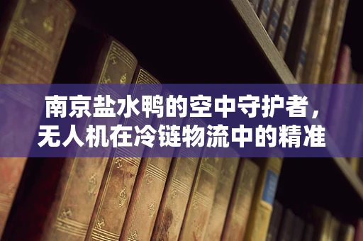 南京盐水鸭的空中守护者，无人机在冷链物流中的精准温控挑战